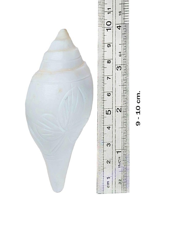 MAYAPURI Authentic Non-Blowing Jal Shankh (Pani Shankha) with Brass Stand for Pooja Abhishekam (9-10 cm) - Image 4