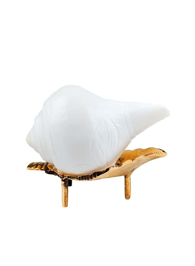 MAYAPURI Authentic Non-Blowing Jal Shankh (Pani Shankha) with Brass Stand for Pooja Abhishekam (9-10 cm) - Image 1