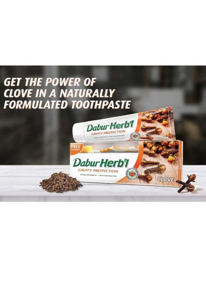 Dabur Clove Toothpaste +  multicolor Toothbrush Free 140 gm  - Image 2