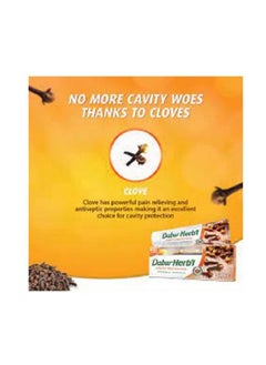 Dabur Clove Toothpaste +  multicolor Toothbrush Free 140 gm  - Image 3