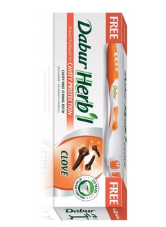 Dabur Clove Toothpaste +  multicolor Toothbrush Free 140 gm  - Image 1