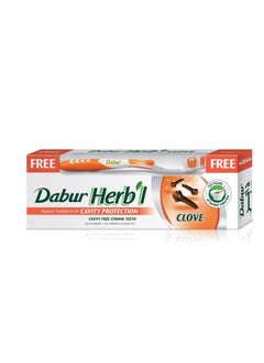 Dabur Clove Toothpaste +  multicolor Toothbrush Free 140 gm  - Image 4