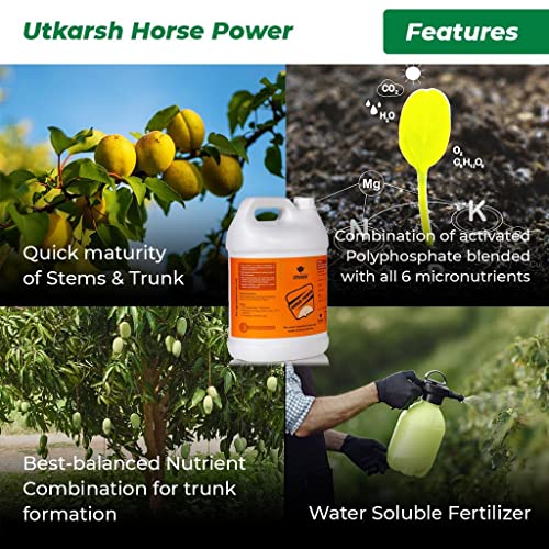 Utkarsh Horse Power - Ammonium Polyphosphate Fertilizer, NPK 10 34 00 For Quick Maturity of Stem & Trunk of Plants & Trees, Enhances Nutrient Uptake, Flowering, Crop Yield & Quality (1 Lit; Pack of 1) - Image 2