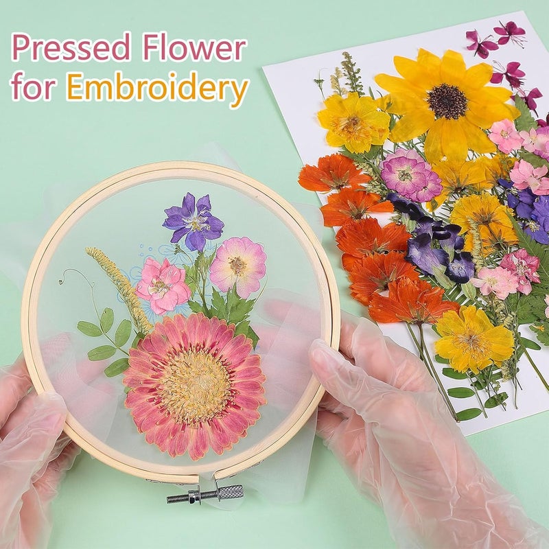 ZMRU 12“ Large Bulk Summer Dried Pressed Flowers for Glass Frame, Real Dry Natural Flower Leaf Daisy for Resin Mold, Cake Decor, Phone Cases (Gorgeous) - Image 5