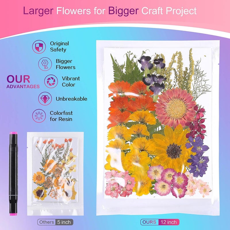 ZMRU 12“ Large Bulk Summer Dried Pressed Flowers for Glass Frame, Real Dry Natural Flower Leaf Daisy for Resin Mold, Cake Decor, Phone Cases (Gorgeous) - Image 2