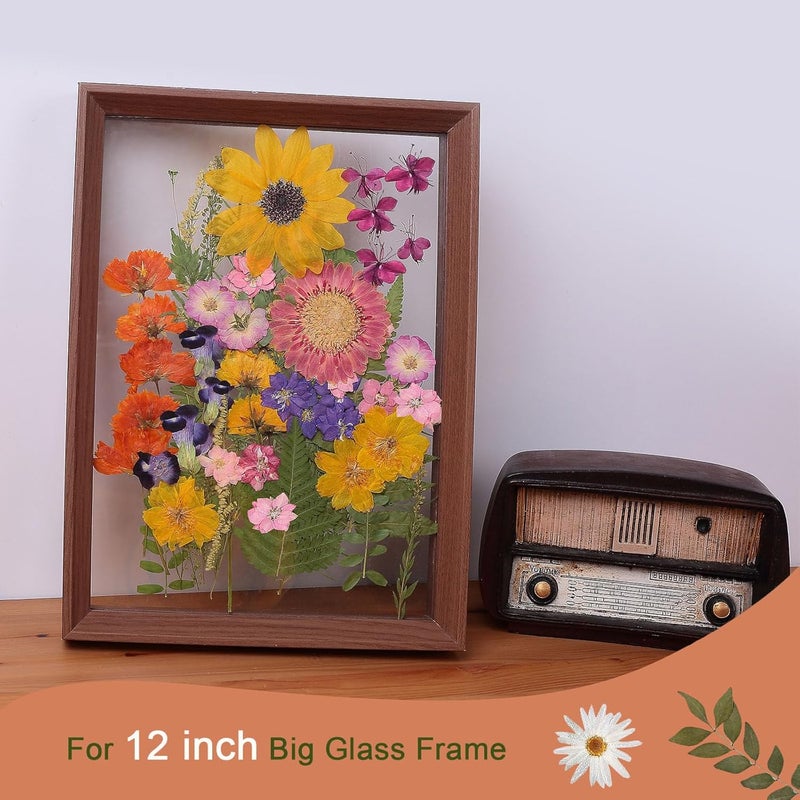 ZMRU 12“ Large Bulk Summer Dried Pressed Flowers for Glass Frame, Real Dry Natural Flower Leaf Daisy for Resin Mold, Cake Decor, Phone Cases (Gorgeous) - Image 4