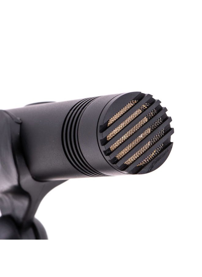 CAD AUDIO GXL1200 Cardioid Condenser Microphone, Champagne Finish  - Image 4