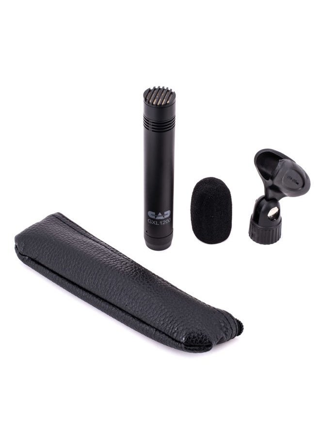 CAD AUDIO GXL1200 Cardioid Condenser Microphone, Champagne Finish  - Image 2