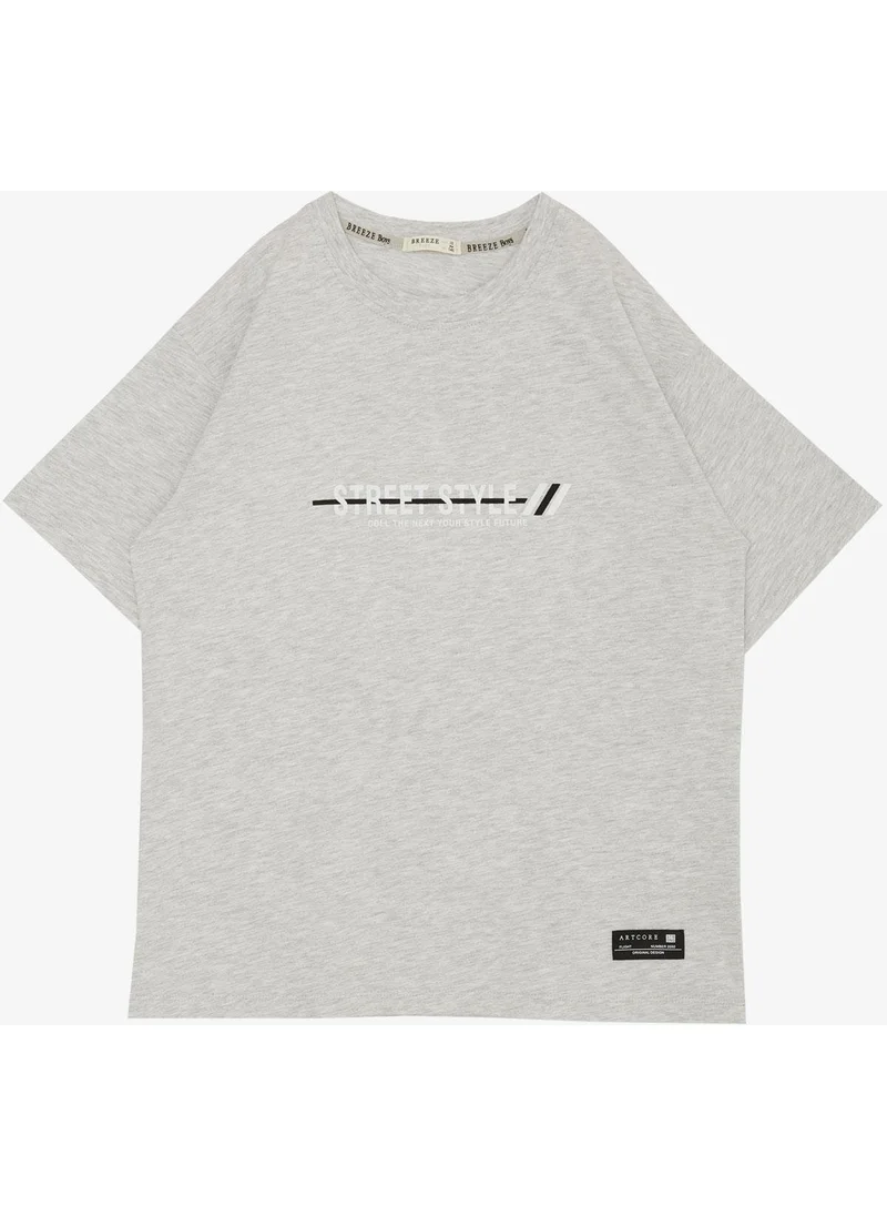 Breeze Boy T-Shirt Text Printed Emblem 9-14 Years, Light Grey Melange