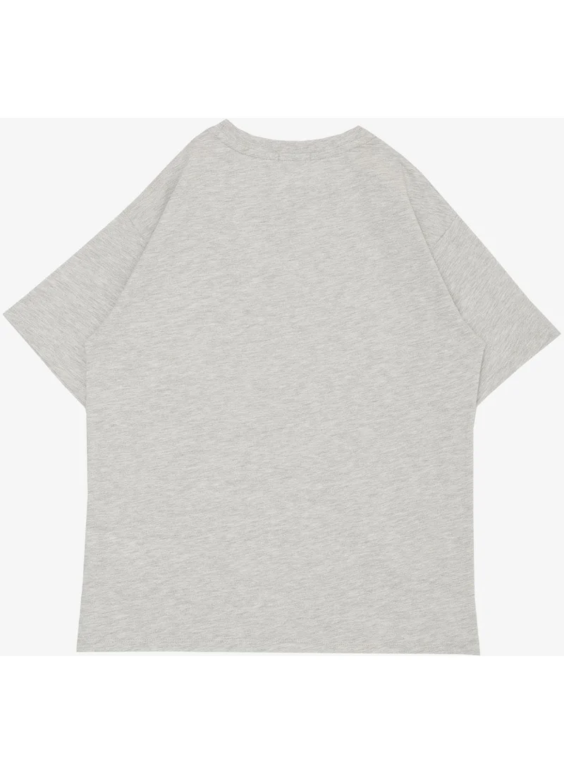 Breeze Boy T-Shirt Text Printed Emblem 9-14 Years, Light Grey Melange