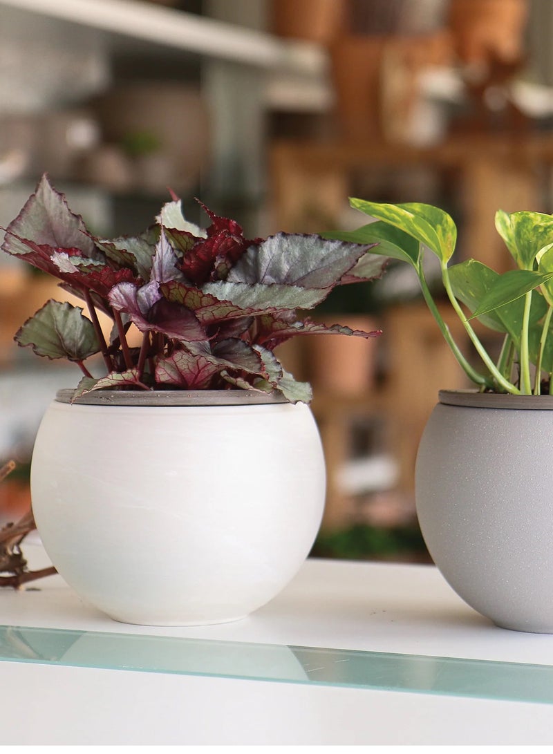 Ceramic Plant Pot White Color (Without Plant) - Image 1