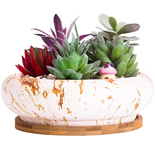 ARTKETTY Succulent Pots - 7.3 Inch Large Bonsai Pots with Drainage Tray, Ceramic Pots for Indoor Plants, Shallow Succulent Planters Marble Cactus Flower Plant Container Bowl - Image 1