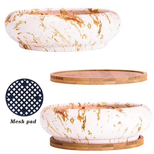 ARTKETTY Succulent Pots - 7.3 Inch Large Bonsai Pots with Drainage Tray, Ceramic Pots for Indoor Plants, Shallow Succulent Planters Marble Cactus Flower Plant Container Bowl - Image 4