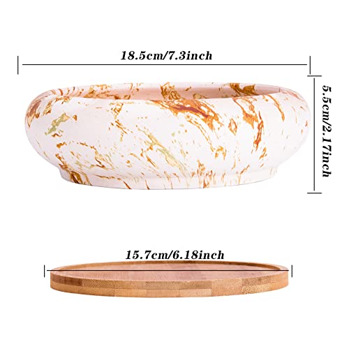 ARTKETTY Succulent Pots - 7.3 Inch Large Bonsai Pots with Drainage Tray, Ceramic Pots for Indoor Plants, Shallow Succulent Planters Marble Cactus Flower Plant Container Bowl - Image 3