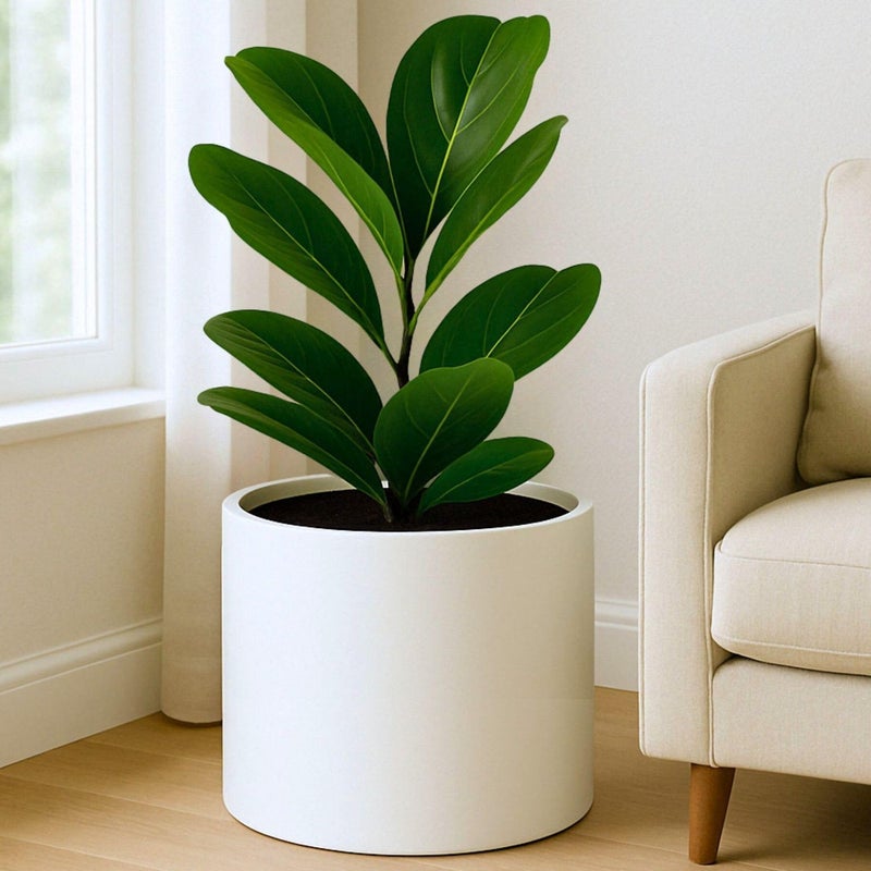 Fox Fern 146 Inch Extra Large Planter Premium Lightweight Fiberstone Matte White Plant Pot with Drainage Plug Big Planter for Indoor Outdoor Use Weather Resistant UV Resistant