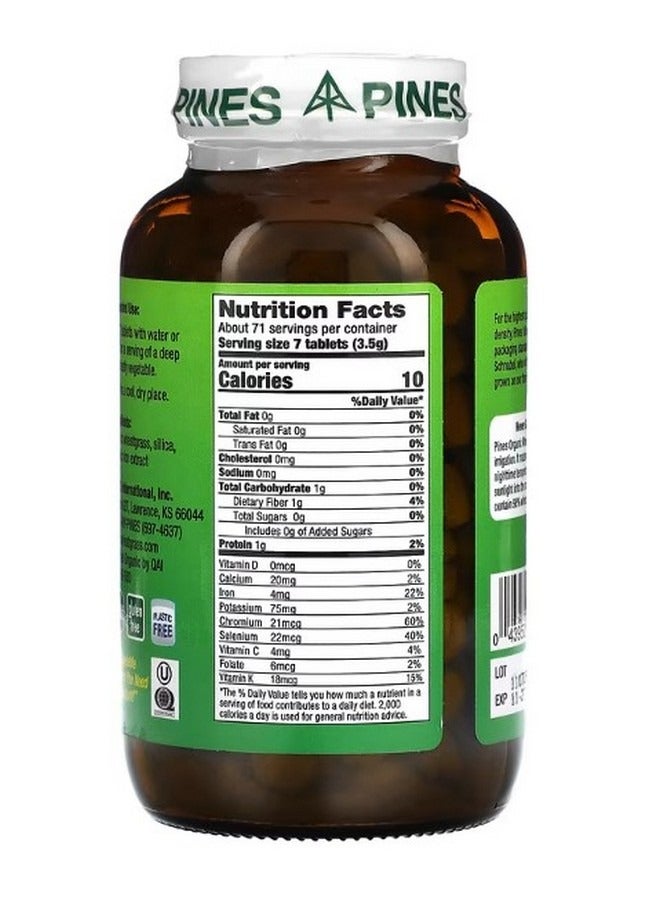 Pines International Wheat Grass 500 mg 500 Tablets - Image 2