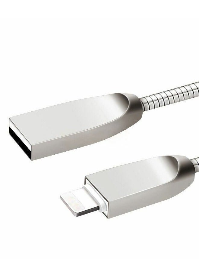 NIPUDUN Lightning USB cable for iPhone, silver  - Image 1