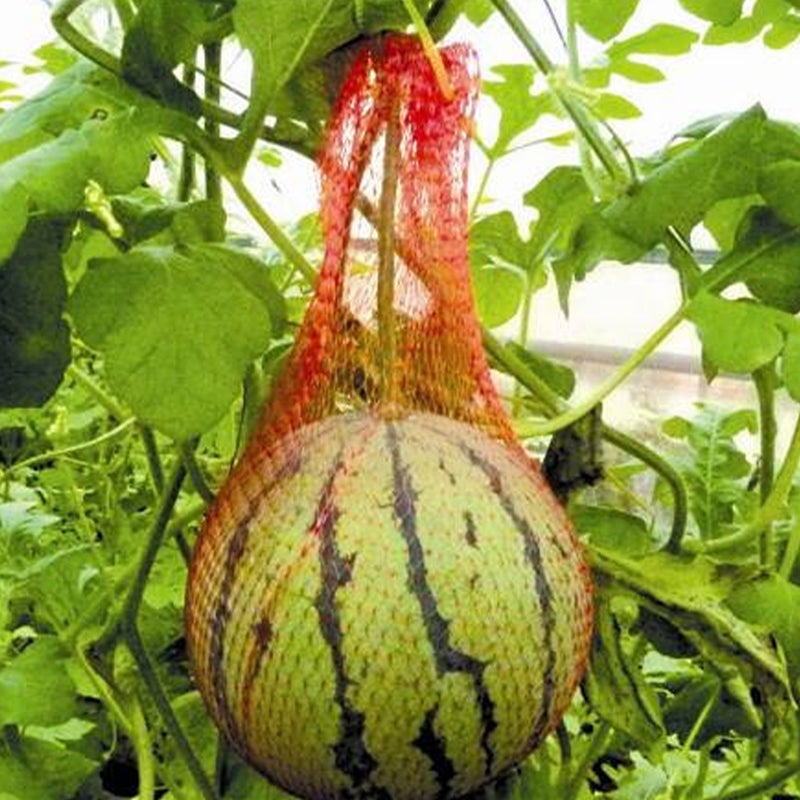 100PCS Watermelon Mesh Storage Bag Portable Vegetable Fruit Travel Articles Carrying Pouch for Outdoor - 60cm - Image 2