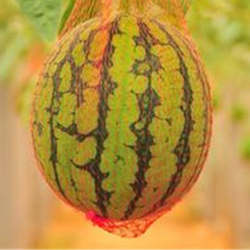 100PCS Watermelon Mesh Storage Bag Portable Vegetable Fruit Travel Articles Carrying Pouch for Outdoor - 60cm - Image 4