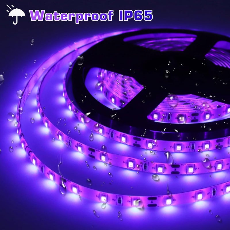 LightingWill LED UV Black Light Strip Kit, Ultraviolet Waterproof IP65 32.8FT/10M 3528 600LEDs, 395nm-405nm Blacklight for DJ Bar Club Party Decor Night Fishing with 12V Power Supply - Image 2