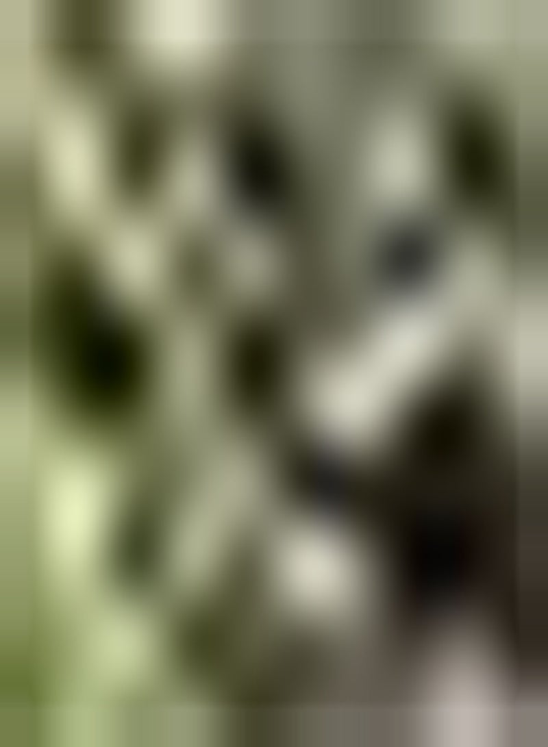 GGOOT 100pcs Thyme seeds Indoor Planting Special Variety Rare Often Indoor Outdoor Planting High Yield Kitchen Planting Decoration Outdoor Farm - Image 1