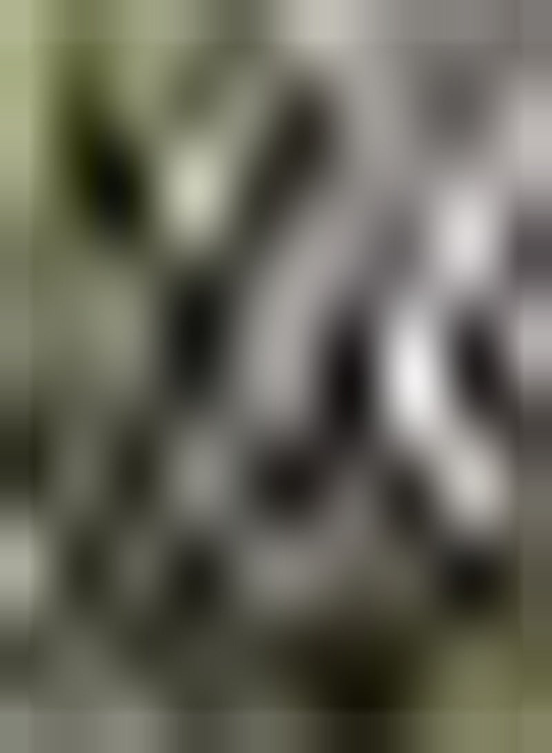 GGOOT 100pcs Thyme seeds Indoor Planting Special Variety Rare Often Indoor Outdoor Planting High Yield Kitchen Planting Decoration Outdoor Farm - Image 2