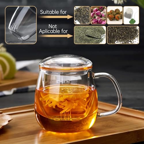 DOPUDO Glass Teacups 2 Pack Glass Tea Cup with Infuser and Lid 176oz520ml Large Borosilicate TeacupTea Clear Mug Cup for Loose Leaf Blooming Tea Microwave Dishwasher Safe - Image 3