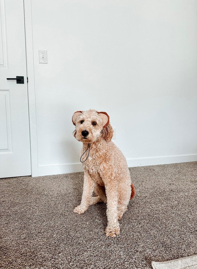 Midlee Monkey Headband & Tail Dog Costume - Image 4