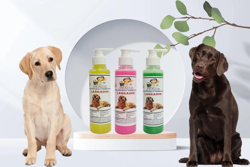 SWACCH Premium Shampoo for Labrador (200ML) (Combo Pack of 3) Lemon, Lavender & NEEM ALOVERA - Image 2