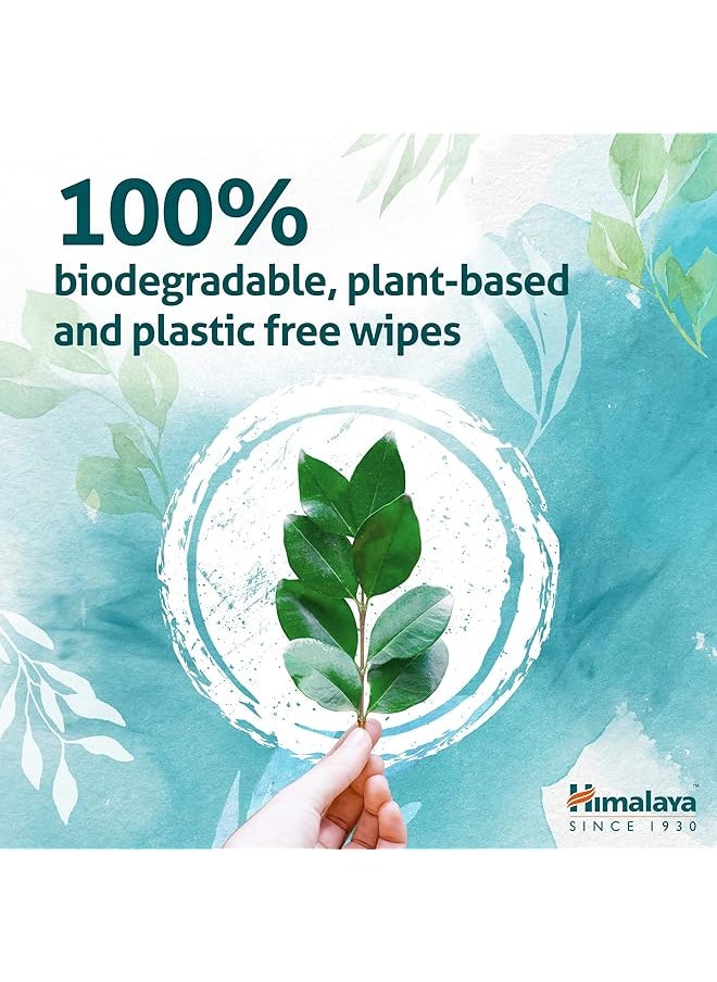 Himalaya Baby Nature Touch Water Wipes Gentle On Sensitive Skin 99% Pure Water And Organic Coconut Oil  - Image 4
