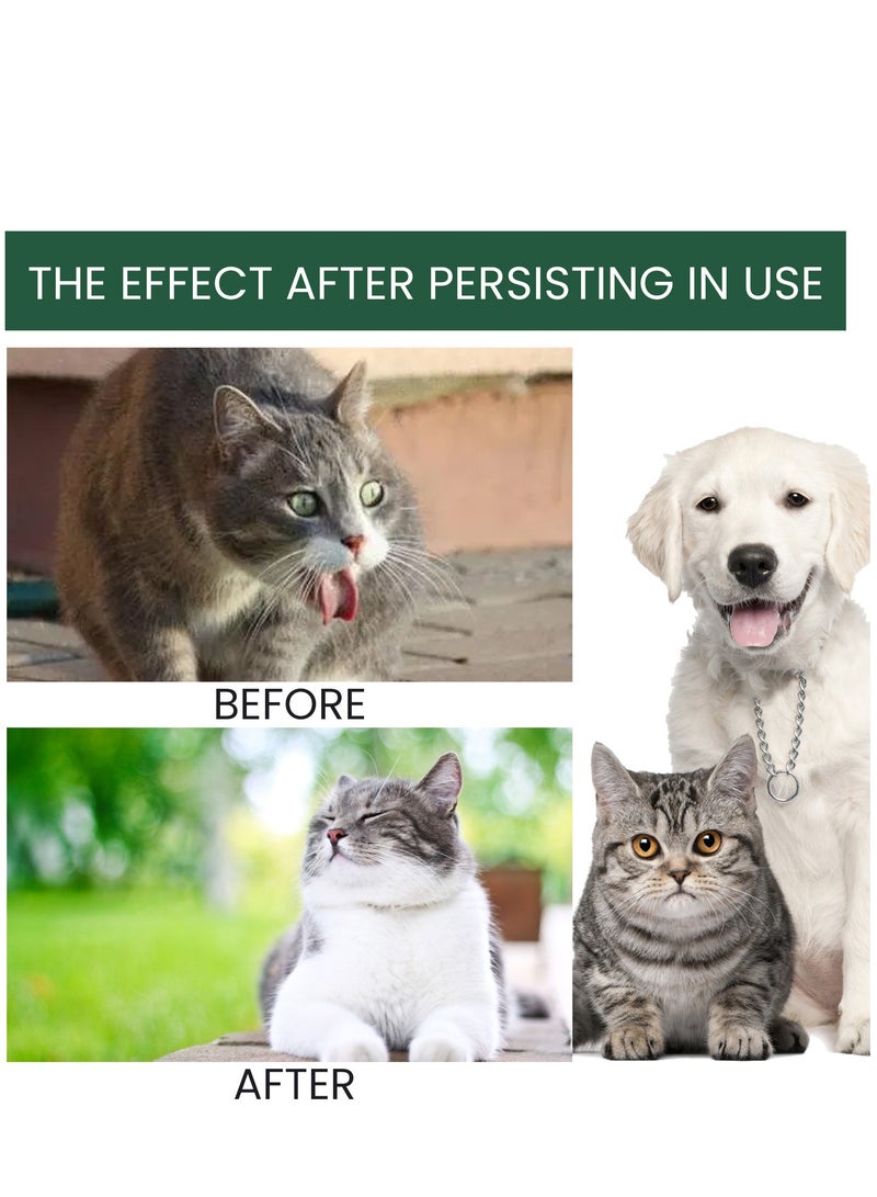 YEGBONG Pet Probiotic for Promotes healthy digestive system Natural Herbal Supplement - Image 4