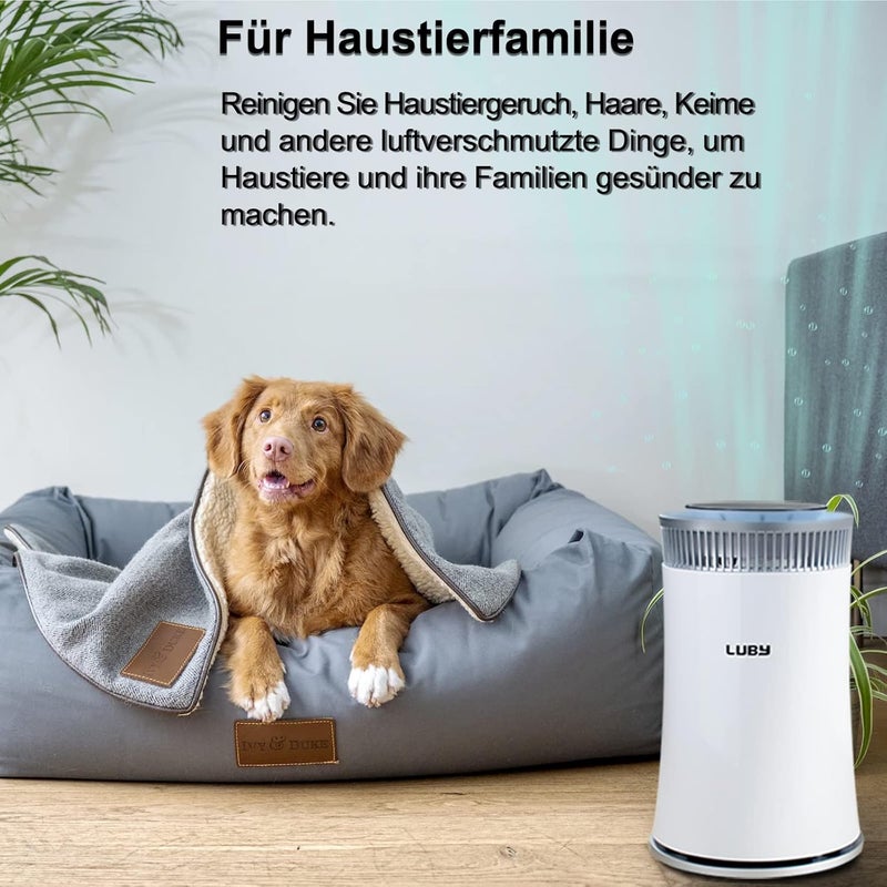Luby Air Purifier for Home with True HEPA Filter, 5 Speeds, 8H Timer, Night Light & Filter Change Reminder, Portable Air Cleaner for Dust, Smokers, Pollen, Pet Dander, Hayfever, Cooking Smell - Image 4