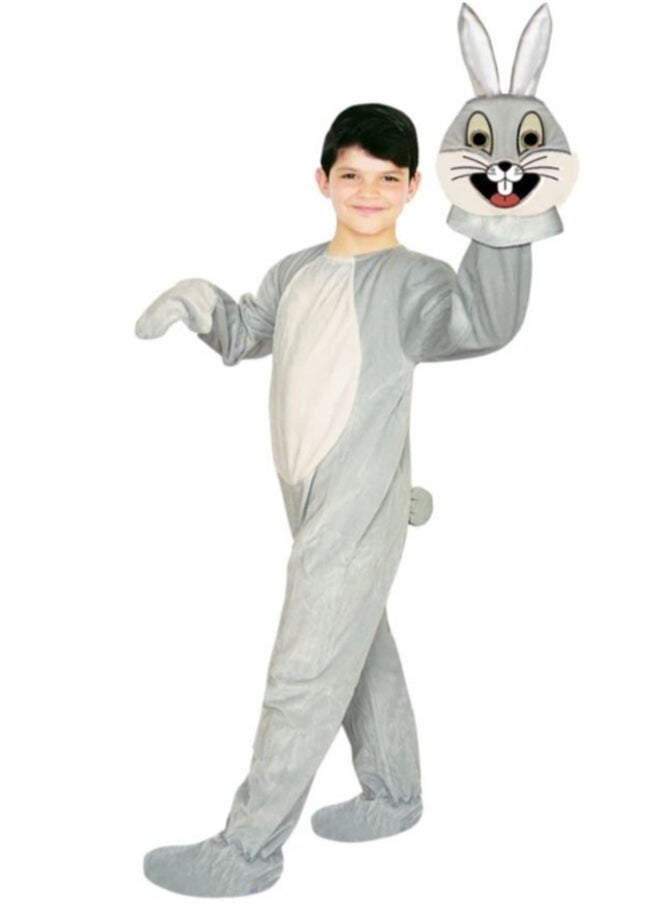 Oulabi Mir Costume Rabbit Polar Silver - 2-3 Years Old 