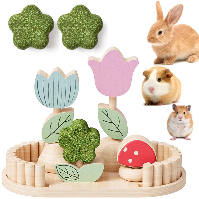 mini&moe Hamster Chew Toys for Teeth - Guinea Pig Chews Enrichment Toys Natural Edible Rabbit Chew Toy for Bunny, Rat, Chinchilla, Gerbils and Others Small Animal - Image 1