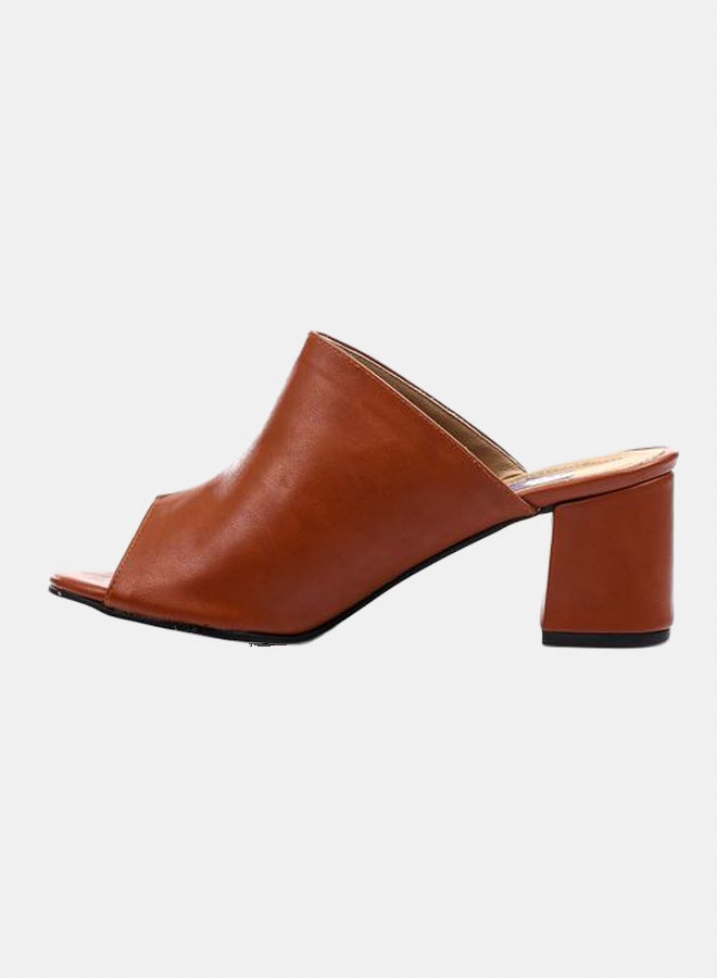 XO Style Women Sandal With Heels 5Cm  - Image 2
