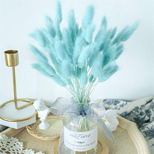 OUKEYI Home Decoration Lagurus Ovatus Rabbit Tail Dried Flowers, Real Flower, Eternal Flower Dried Grass,Flower Bouquet, Natural Material Shooting Props Dried Flowers 50PCS（TIFF blue ） - Image 4