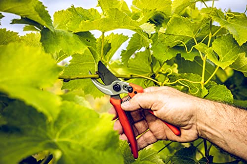 Original LÖWE Bypass Pruner Garden Tools 14.104 | Use as Pruners, Hedge Trimmer, Garden Shears, Pruning Shears for Gardening | For cutting roses, twigs, branches, and cut flowers | Made in Germany - Image 4