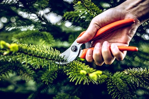 Original LÖWE Bypass Pruner Garden Tools 14.104 | Use as Pruners, Hedge Trimmer, Garden Shears, Pruning Shears for Gardening | For cutting roses, twigs, branches, and cut flowers | Made in Germany - Image 2