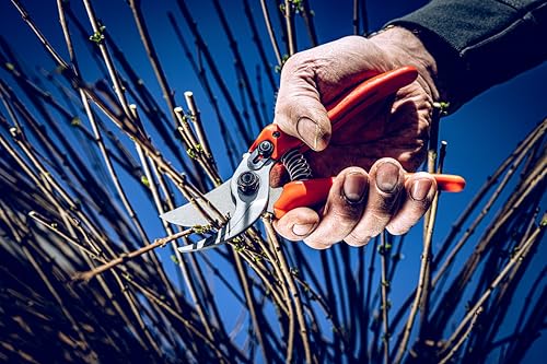 Original LÖWE Bypass Pruner Garden Tools 14.104 | Use as Pruners, Hedge Trimmer, Garden Shears, Pruning Shears for Gardening | For cutting roses, twigs, branches, and cut flowers | Made in Germany - Image 3