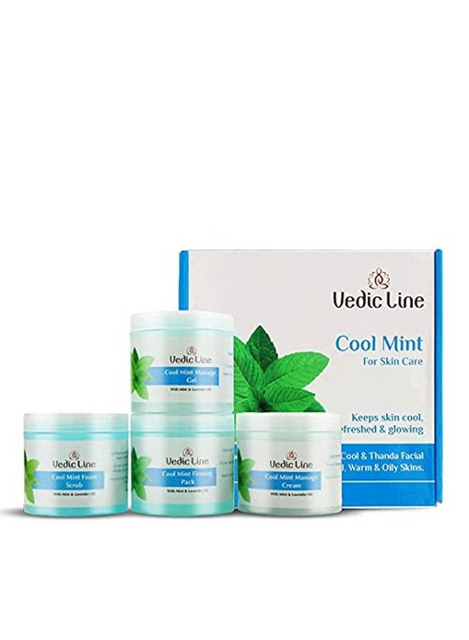 Vedicline Cool Mint Facial Kit Reduce Tan & Dead Skin With Mint Oil Lavender Oil Shea Butter For Skin Lightening & Brightening With Cooling Sensation 400Ml - Image 1