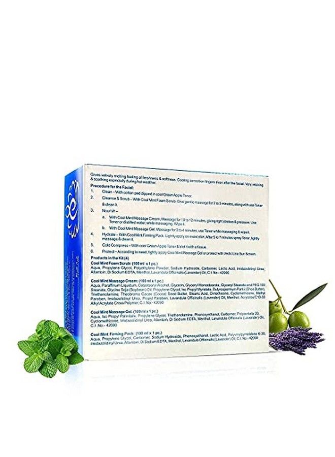 Vedicline Cool Mint Facial Kit Reduce Tan & Dead Skin With Mint Oil Lavender Oil Shea Butter For Skin Lightening & Brightening With Cooling Sensation 400Ml - Image 4