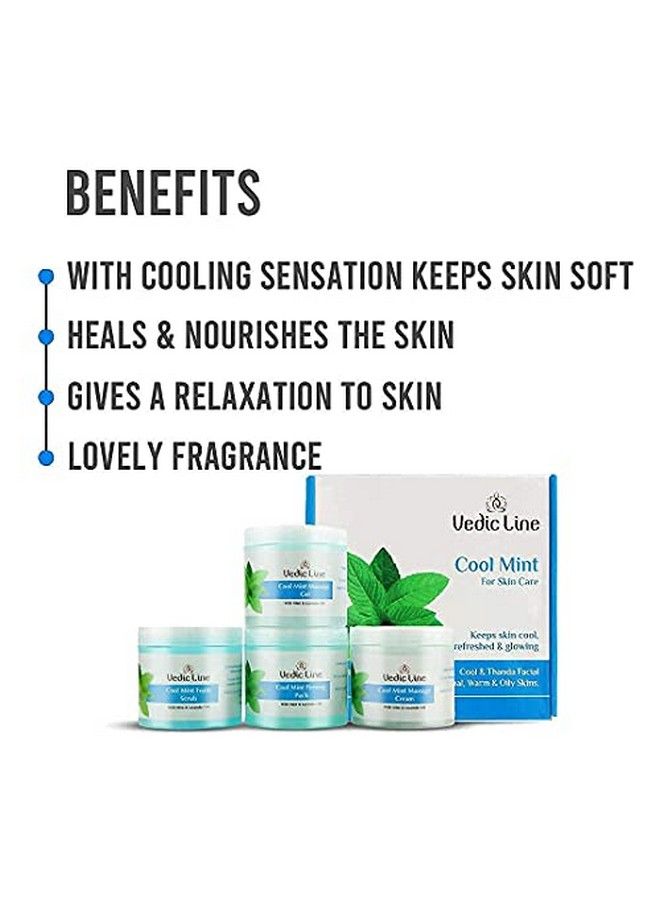 Vedicline Cool Mint Facial Kit Reduce Tan & Dead Skin With Mint Oil Lavender Oil Shea Butter For Skin Lightening & Brightening With Cooling Sensation 400Ml - Image 5