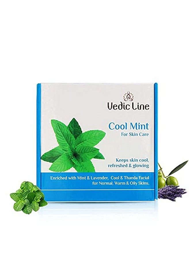 Vedicline Cool Mint Facial Kit Reduce Tan & Dead Skin With Mint Oil Lavender Oil Shea Butter For Skin Lightening & Brightening With Cooling Sensation 400Ml - Image 3