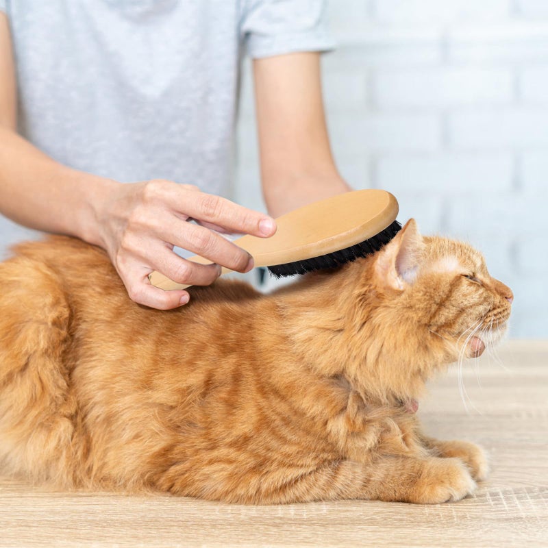 Wood Handle Clothes Brush Cat Hair Remover with Black Boar Bristles for Garments Shoes and Household Use - Image 5
