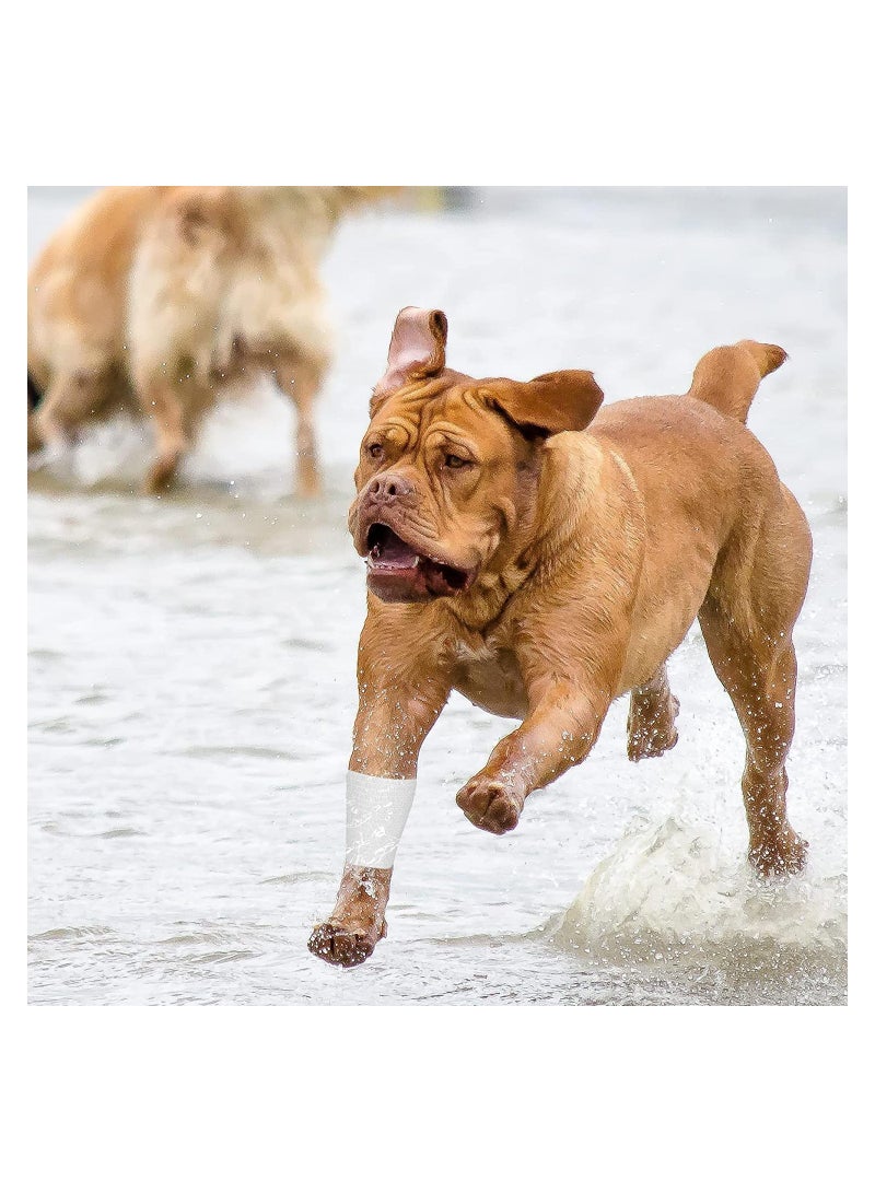 SYOSI 8 Pack Elastic Self Adhesive Tape All Sports Wrap Tape - Image 3