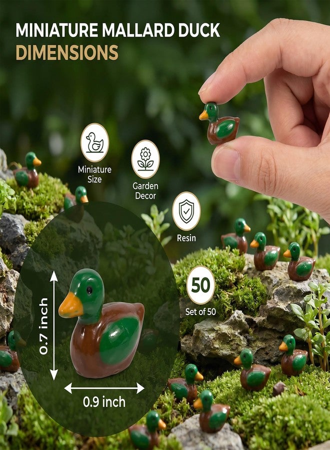 Furjane 50 PCS Mini Mallard Ducks Miniature Mallard Resin Duck Figurines Tiny Ducks Bulk for Micro Fairy Garden Hide Moss Landscape Terrarium Crafts Cake Toppers - Image 2
