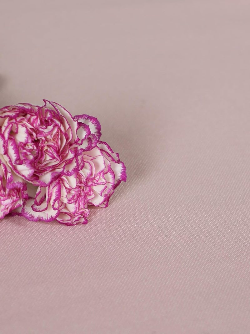 ZEBA World Cotton Blend Hand Embroidered Bedcover for Double Bed with 2 Pillow Covers Chawal Taka Duckegg Pink with Blue Pillows Bedcover 90 x 108inches 75x9ft Pillow 17x27in - Image 4