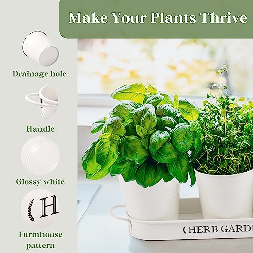 PERFNIQUE Indoor Herb Garden, Herb Planter for Indoor/Outdoor, Farmhouse Plant Pots, Windowsill Herb Garden with Tray(Planter only) Window Pots - Image 4