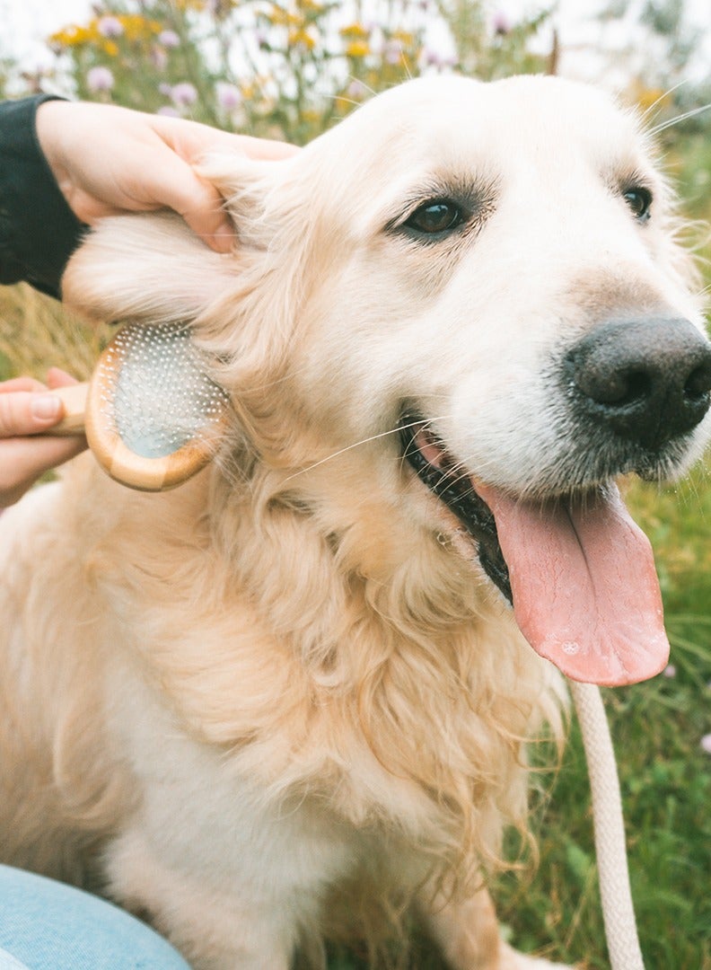 duvo Plus Bamboo Slicker Brush For Dogs - Image 3