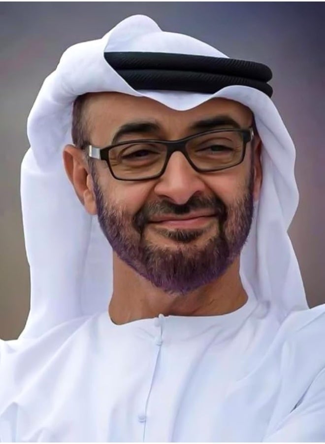 طقم رسم بالألماس خماسي الأبعاد، طقم فني بالألماس للبالغين، ديكور حائط يدوي، طقم رسم بالألماس مُدمج مع طقم رسم بالألماس الخاص بصاحب السمو الشيخ زايد بن سلطان آل نهيان وصاحب السمو الشيخ محمد بن زايد آل نهيان، ألماس أكريليك، قماش لاصق بإطار خشبي، طقم فني لهواية الاسترخاء، طقم هدايا، 40 سم × 50 سم (عبوة من قطعتين) - Image 2